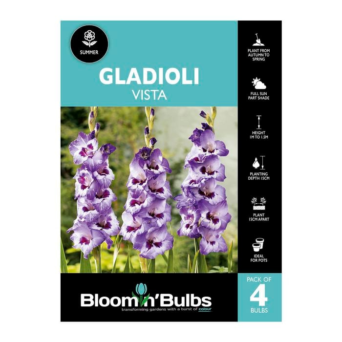 Bloomin' Bulbs Gladioli Vista - 4 Pack