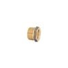 Kinetic 20 x 15mm Brass Threaded Hex Reducing Bush