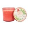 More Than Party Soy Scented Candle Jar Home Fragrance Pink Watermelon 360g