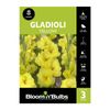 Bloomin' Bulbs Gladioli Yellow - 3 Pack