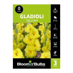 Bloomin' Bulbs Gladioli Yellow - 3 Pack