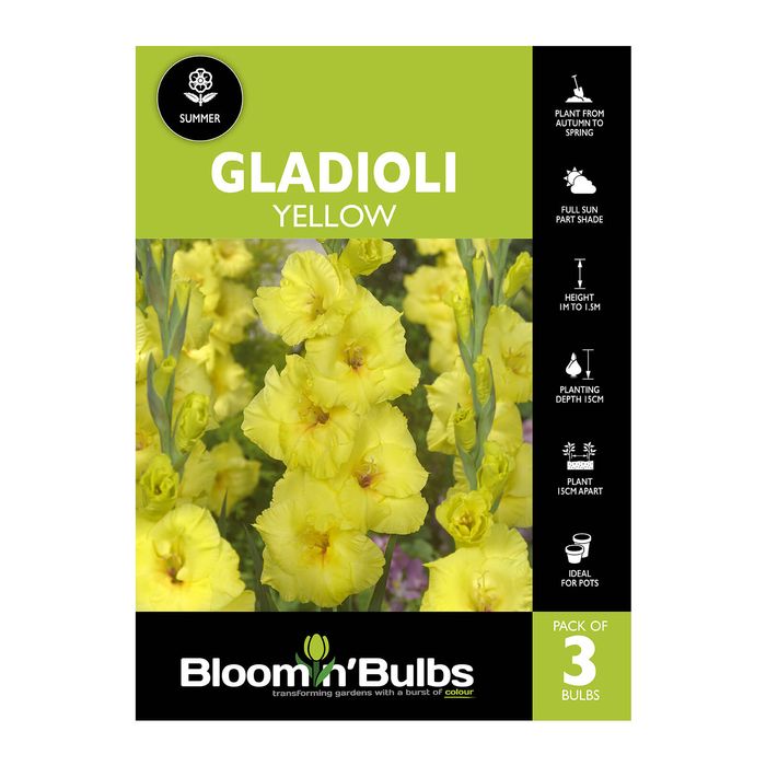 Bloomin' Bulbs Gladioli Yellow - 3 Pack