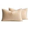 Catzon 2 Pcs Decorative Velvet Throw Pillow Covers Soild for Home Car 30X50cm-Beige