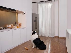 dog in a kitchen looking at a camera