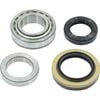 Rear Wheel Bearing For Kia K2700 Tu Pu Pregio 2.7l Sportage Ja