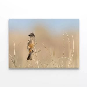 Bird Perched On a Branch  Print 100% Australian Made 120 x 90cm  (Stretched)