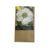 Yarra Valley Bulbs Anemone De Caen White - 20 Pack