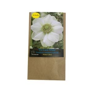 Yarra Valley Bulbs Anemone De Caen White - 20 Pack
