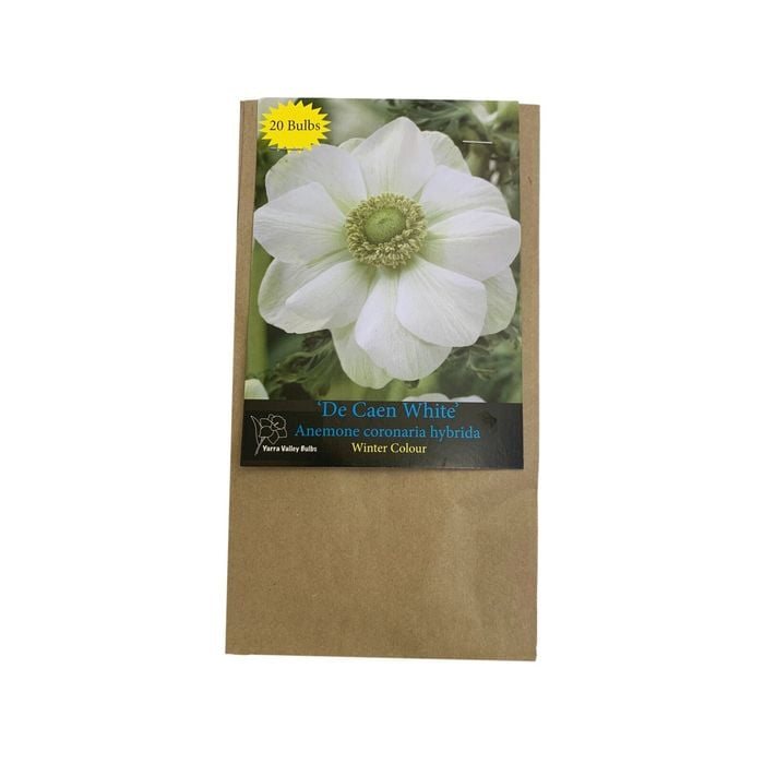 Yarra Valley Bulbs Anemone De Caen White - 20 Pack