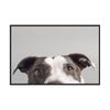 Artey | Ruby - Framed Canvas - Black Frame - 100 x 150cm