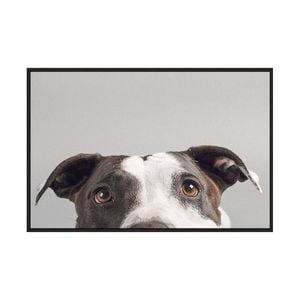 Artey | Ruby - Framed Canvas - Black Frame - 100 x 150cm