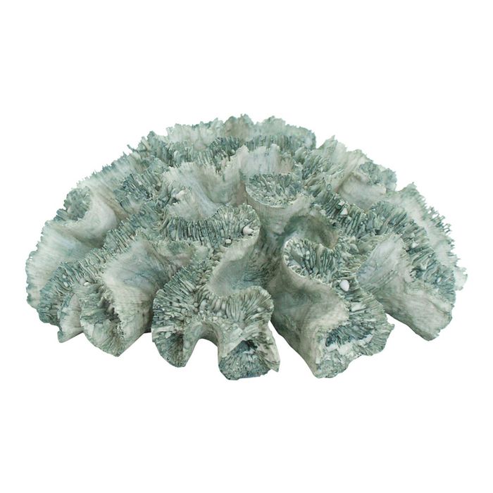 Decorative Polyresin 20cm Colt Sea Coral Home Decor Centrepiece Display Green