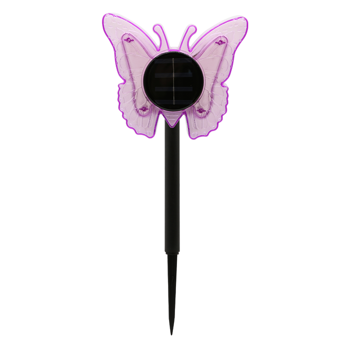 Click Purple Solar Butterfly Stake
