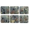 6pc Ashdene Hardboard/Cork Enchanting Banksia Coaster Table Protector