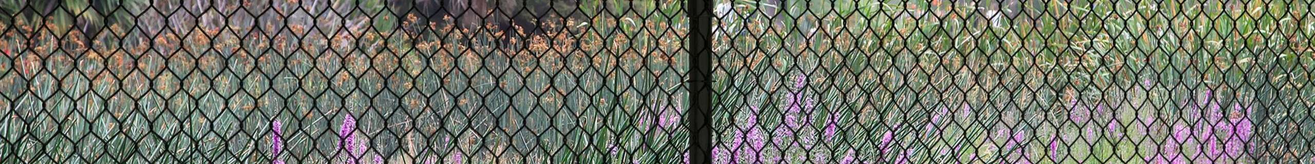 Image of fence in the field dividing grass and shrubs