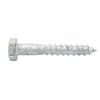 Zenith M6 x 40mm Hot Dipped Galvanised Coach Screw - Each