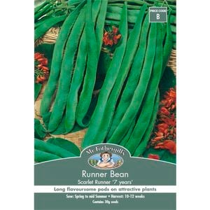 Mr Fothergill's Seed Runner Bean Scarlet Runner ‘7 years’