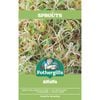 Fothergills Sprouts Alive Alfalfa Seeds