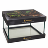 ReptiQuaria Glass Reptile Terrarium 40cm x 26cm x 23cm