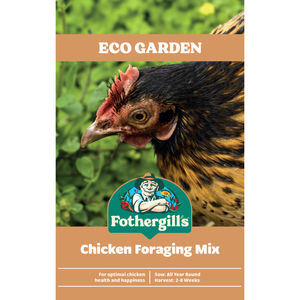Fothergill's Chicken Foraging Mix