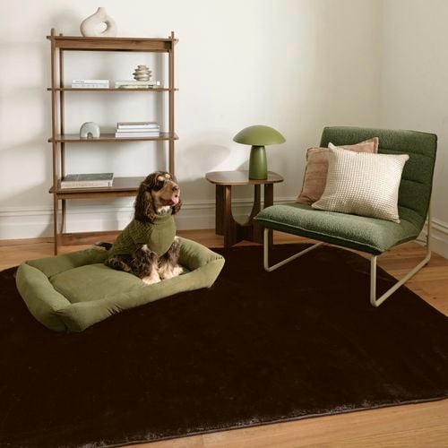 A sitting area with a green lounge chair, matching floor cushion with a dog resting on it, a small side table with a lamp, and open wooden shelving against a plain wall.