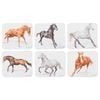 Ashdene Horses Charlotte Set Of 6 Coasters