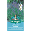 Fothergill's English Dwarf Lavender Flower Seeds