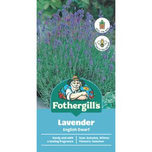 Fothergill's English Dwarf Lavender Flower Seeds
