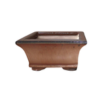 Northcote Pottery 24 x 24 x 11cm Square Izumi Bonsai Pot - Copper