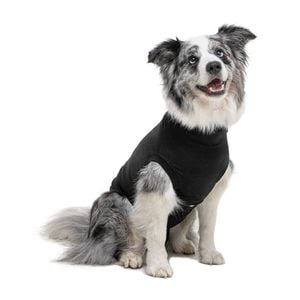 Suitical Recovery Suit® Dog