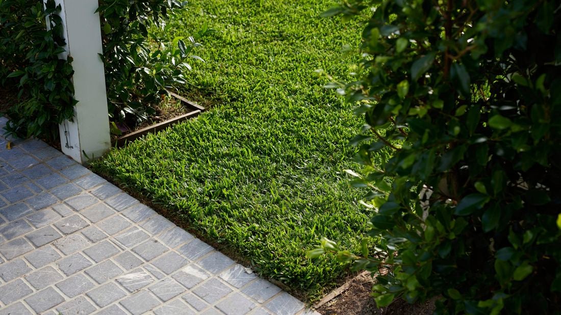 Green lawn borders a paved area.