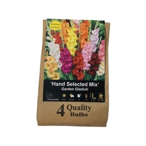 Yarra Valley Bulbs Gladioli Hand Select Mix 5 Pack
