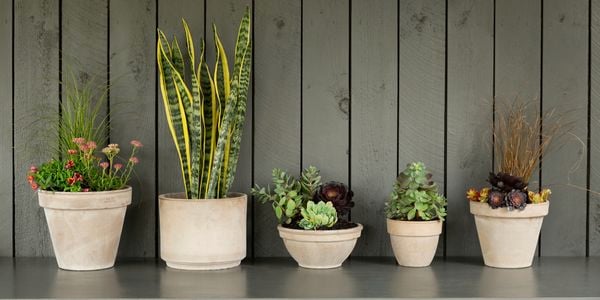 A row on greige coloured terracotta pots in different shapes.