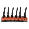 6-Pack SWAN Ignition Coil for Ford Falcon Fairmont BA BF Territory