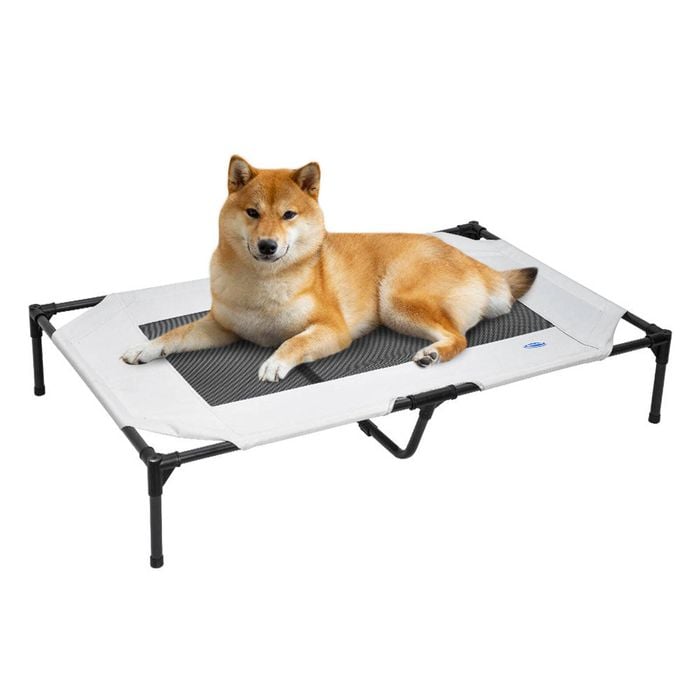 Raised Dog Bed Large Elevated Pet Bed Scratch and Moisture Resistant Breathable Kennel