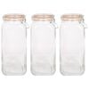 Argon Tableware Square Glass Jars with Clip-Top Lids - 2L - Pack of 3