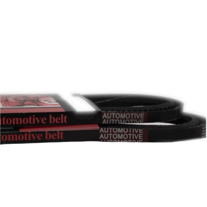 Belt Kit for Holden Commodore VT VU VX VY VZ 5.7 6.0 V8 Gen3 LS1 | 6PK1995 and 4PK1100