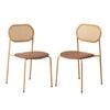Oikiture 2PCS Dining Chair Rattan Chairs PU Leather Brown
