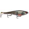 Rapala XRap Peto 20cm Slow Sinking Fishing Lure Live Roach