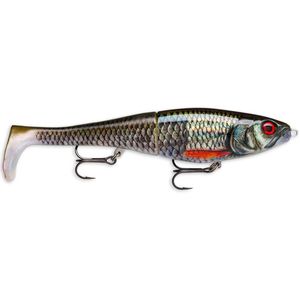 Rapala XRap Peto 20cm Slow Sinking Fishing Lure Live Roach