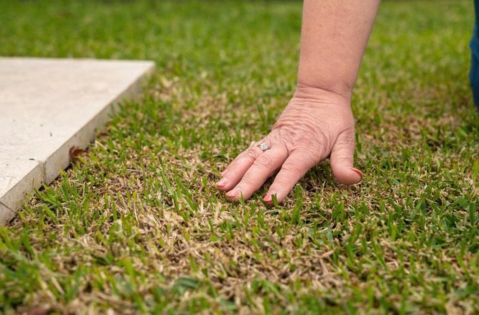 person running her hands over grass