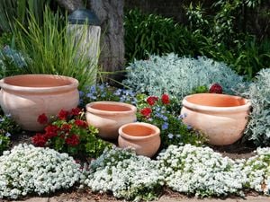 pots