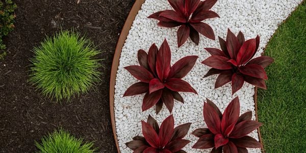 Terraform - strip banner - Brand Page