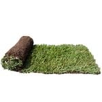 Instant Turf