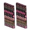 12PK HEM Home Fragrance Scented Smelling Incense Sticks Packet Set Black Opium