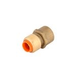 SmarteX-C 1/2 x 1/2" Female Connector