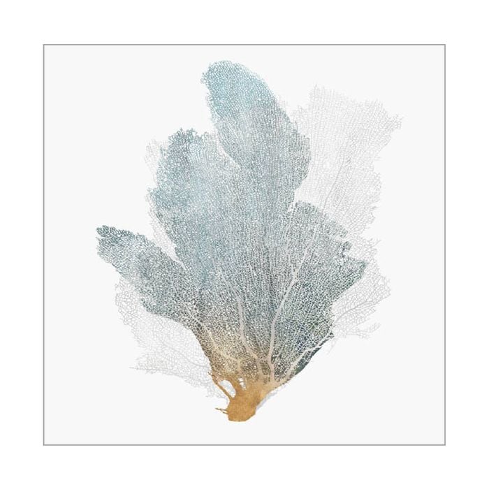 Artey | Delicate Coral II - Stretched Canvas - Stretched Canvas - 64 x 64cm