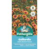 Fothergill's Gaillardia Goblin Seeds