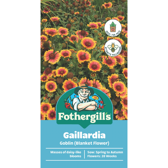 Fothergill's Gaillardia Goblin Seeds