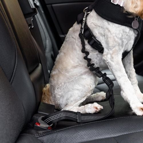 Happy Tails Pet Seat Belt Bunnings Australia